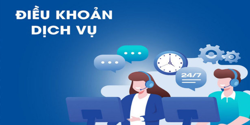 Điều khoản điều kiện trong việc sử dụng dịch vụ CSKH